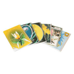 دفاتر سلك عربي صغير غلاف كرتون 72 ورقة