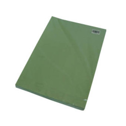 ماعون كرتون مبزر A4 اخضر فاتح 100/1 رقم 2016-02